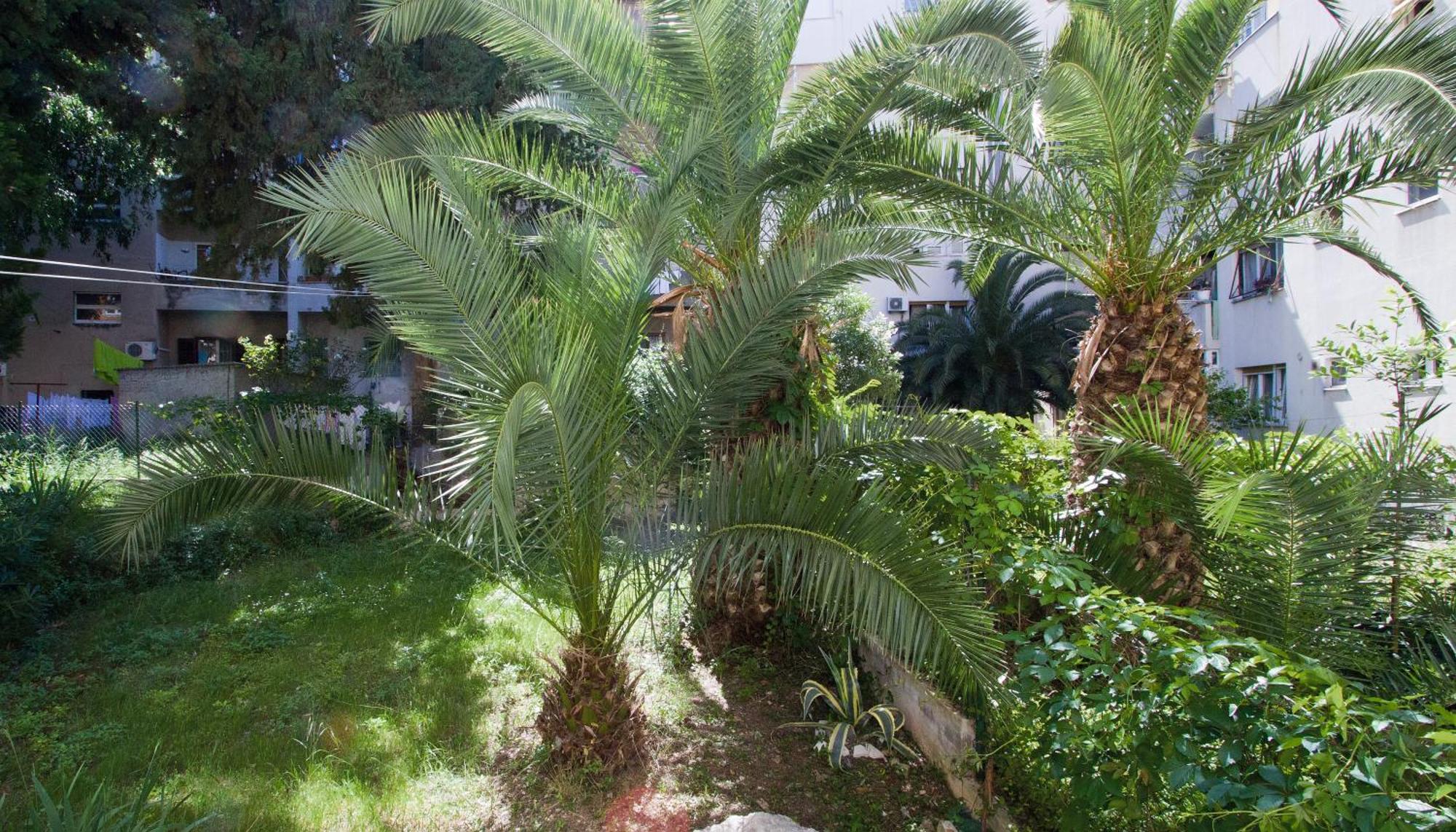 Crvena Orhideja Apartament Split